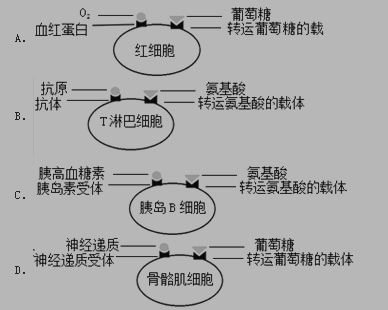 高一上册生物第二章检测试卷