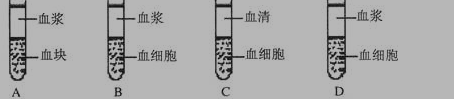 初二上册生物《人体内物质的运输》测试试题