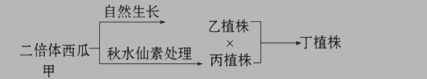 高二生物必修3染色体变异测试试题