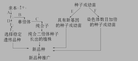 高二生物必修3染色体变异测试试题