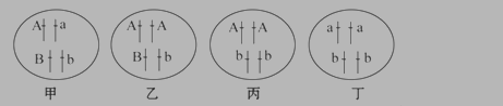高二生物必修3染色体变异测试试题