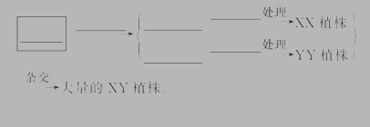 高二生物必修3染色体变异测试试题