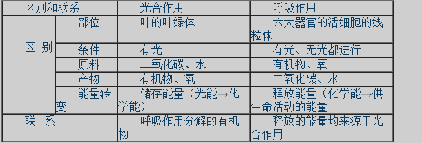 初一上册生物期末复习资料