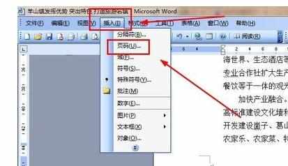 word2003文档第二页显示为第一页怎么设置