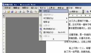 word2003怎么对文档进行分栏