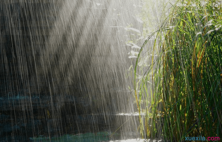 关于小雨的日记400字