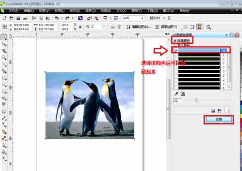 coreldraw如何使用颜色遮罩