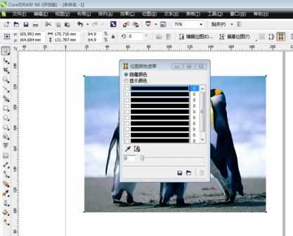 coreldraw如何使用颜色遮罩