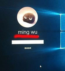 怎么给Windows10登陆选项设置PIN密码