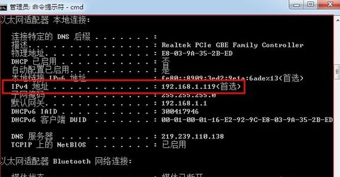 怎样在命令行下查看局域网内IP地址