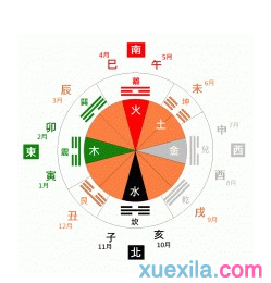 1988年五行属什么的