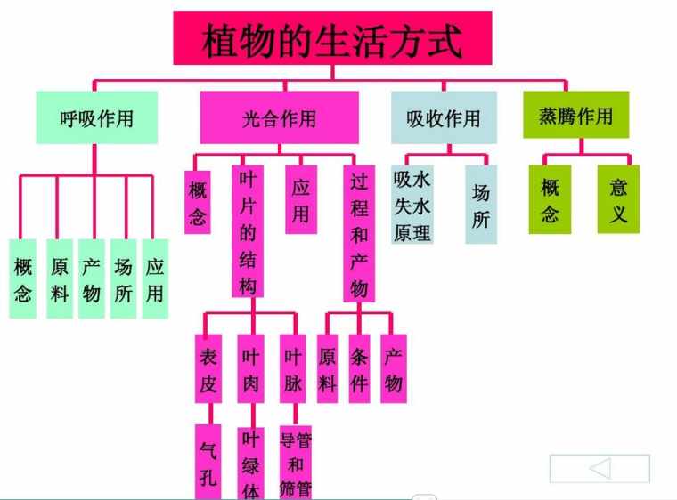 七年级生物上册知识网络图