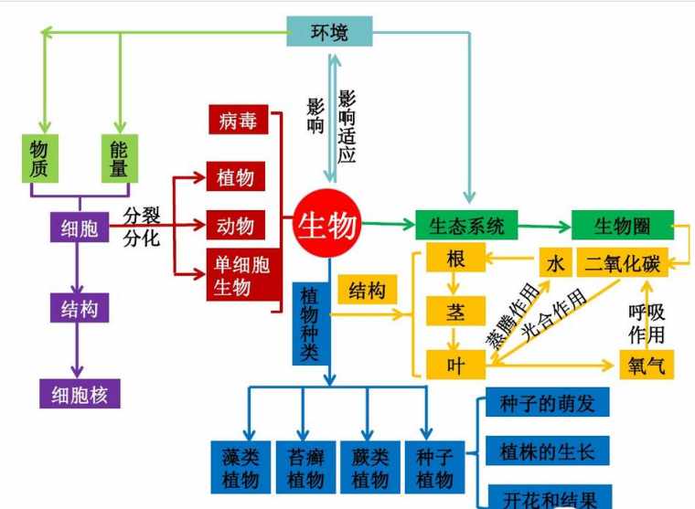 七年级生物上册知识网络图