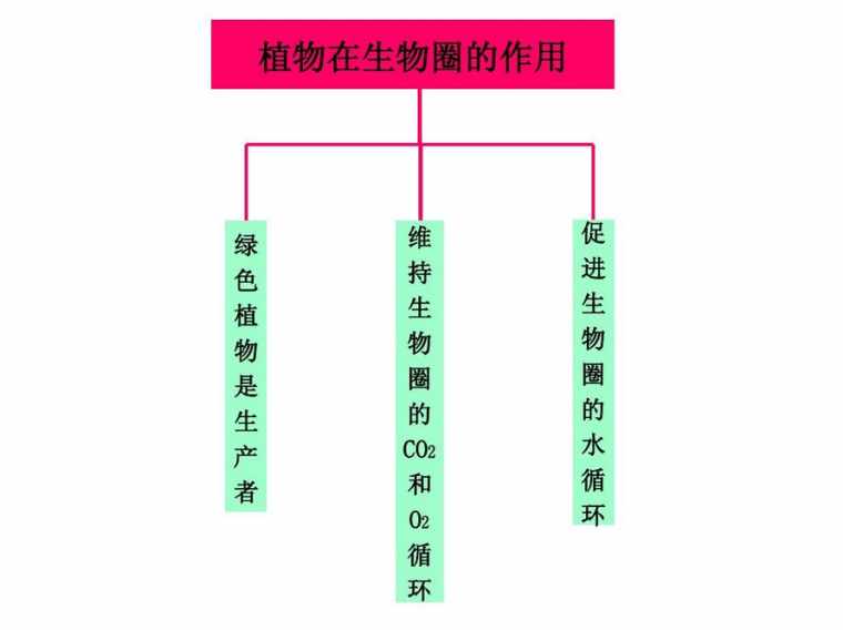 七年级生物上册知识网络图