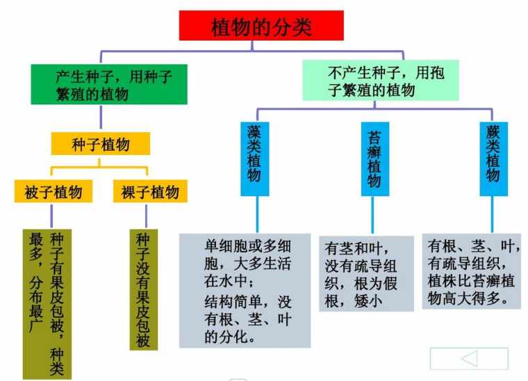 七年级生物上册知识网络图