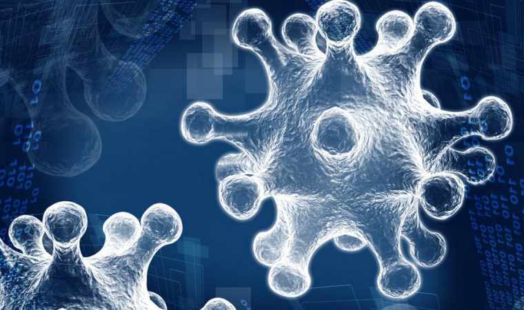 七年级生物学下册基础训练答案