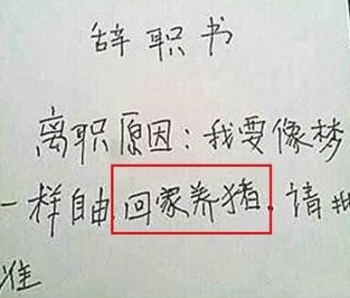 搞笑的保安辞职报告书