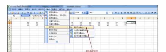 excel2007中防止编辑栏显示公式的方法