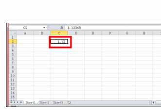 Excel2010中输入特定的数据类型的操作方法