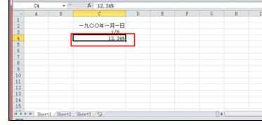 Excel2010中输入特定的数据类型的操作方法