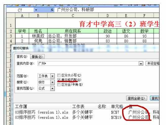 Excel2007中进行高级模糊查找的操作方法