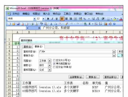 Excel2007中进行高级模糊查找的操作方法