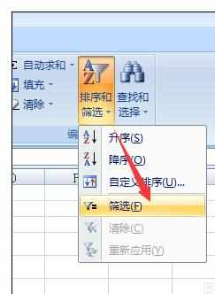 Excel2007中进行排序和筛选的操作方法