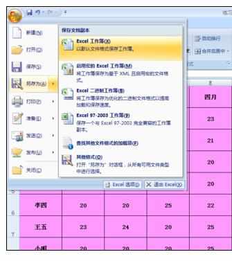 Excel2007中设置权限的操作方法