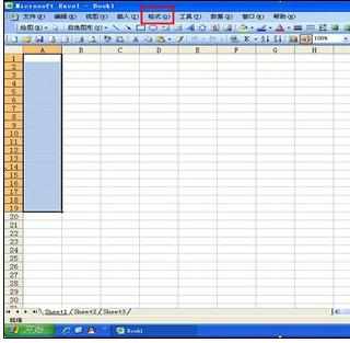 Excel2010中表格输入001的操作方法