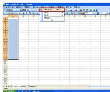 Excel2010中表格输入001的操作方法