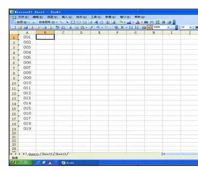 Excel2010中表格输入001的操作方法