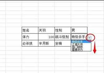 Excel2010中显示出下拉列表的设置方法