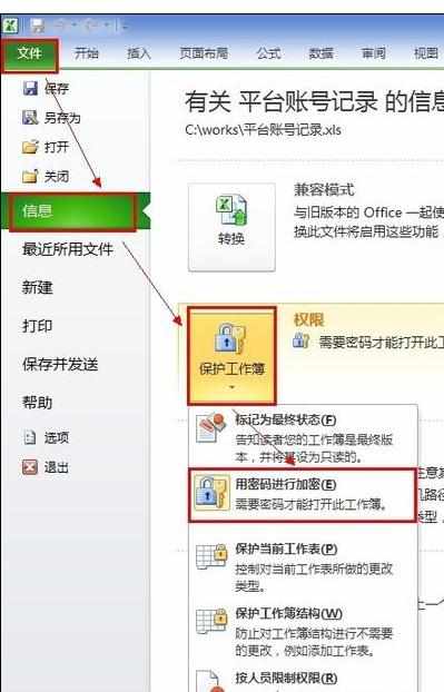 Excel2010中选择设置加密的操作方法