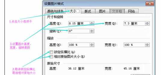 Word2003中调整图片大小的操作方法