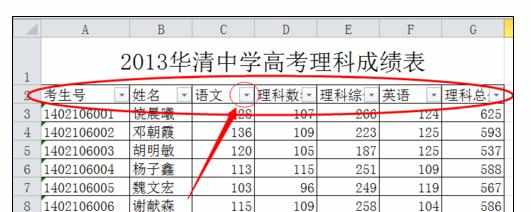 Excel中进行使用数据自动筛选功能的操作方法