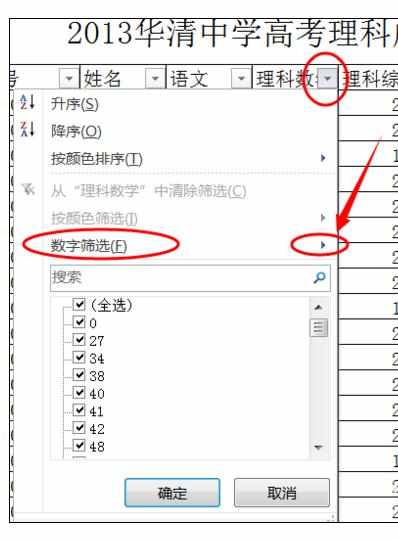 Excel中进行使用数据自动筛选功能的操作方法