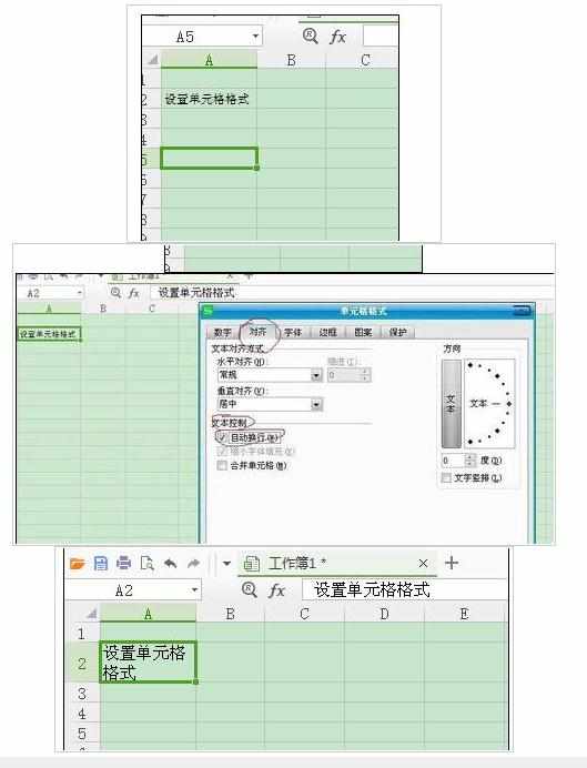 wps怎么设置单元格