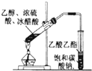 高中化学选修二第二章期末练习试题