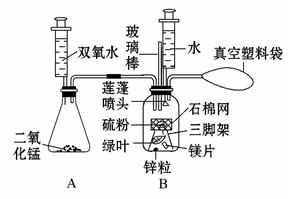 高一化学必修1《硫酸的性质和使用》期末练习试题