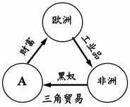 贵州遵义市中考历史模拟考试试卷