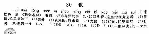 七年级下册语文配套练习册参考答案人教版