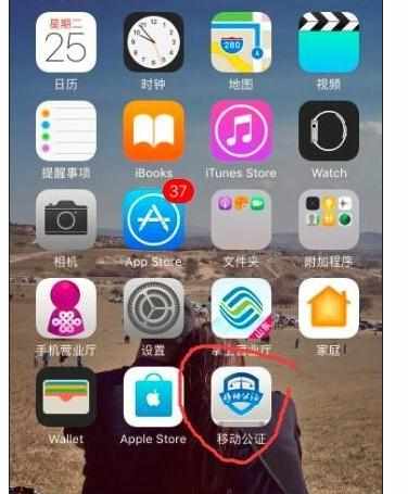 ios10应用为什么连不上网络