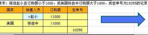 Excel中表格进行高级筛选多列多条件的操作方法