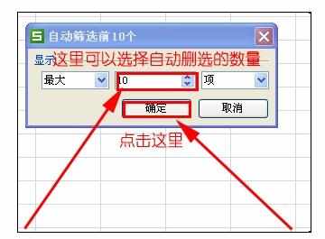 Excel中进行表格筛选多项数据的功能操作