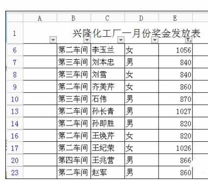 Excel中进行表格筛选多项数据的功能操作