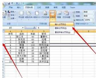 Excel中2007版进行分页设置的操作技巧