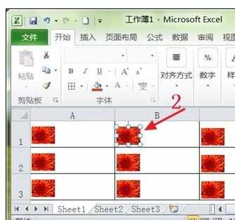 Excel中2010版进行删除图片的操作技巧