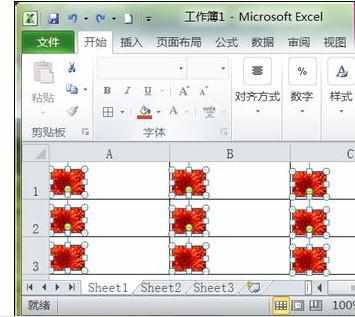 Excel中2010版进行删除图片的操作技巧