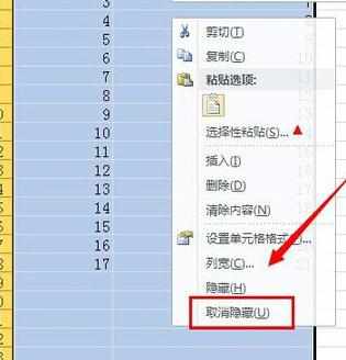 Excel中2010版进行隐藏数据的操作技巧