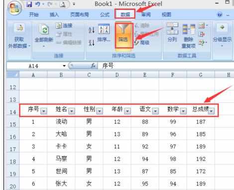 Excel中2007版进行高级筛选设置且复制筛选的操作技巧